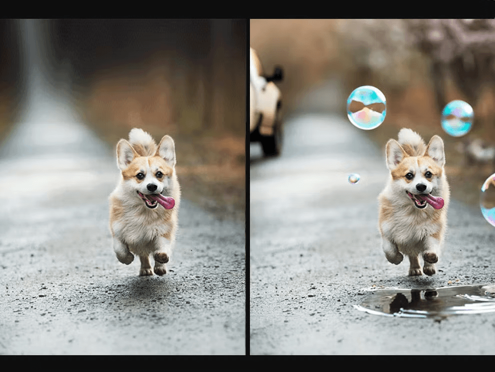 A before &amp; after image of dog after applying Generative Fill of Photoshop